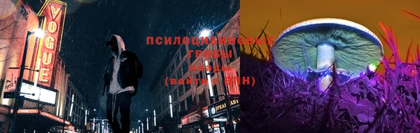 мяу мяу кристалл Арсеньев